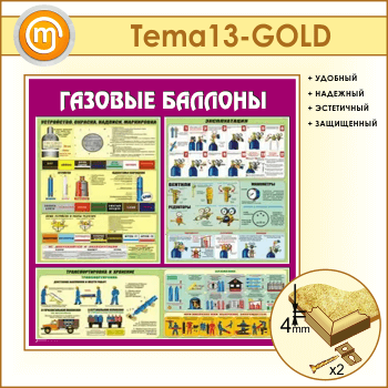    (TM-13-GOLD)